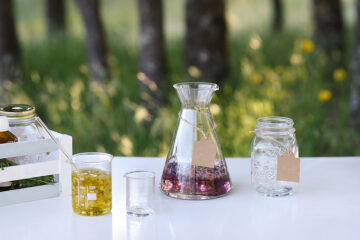 Community Flower Essence Making Workshop